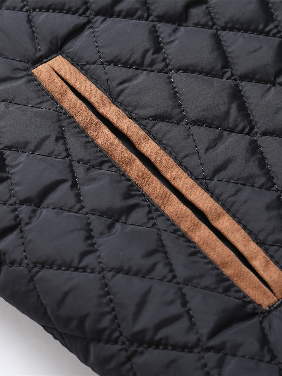 Alden | Pakket jakke med ståkrage